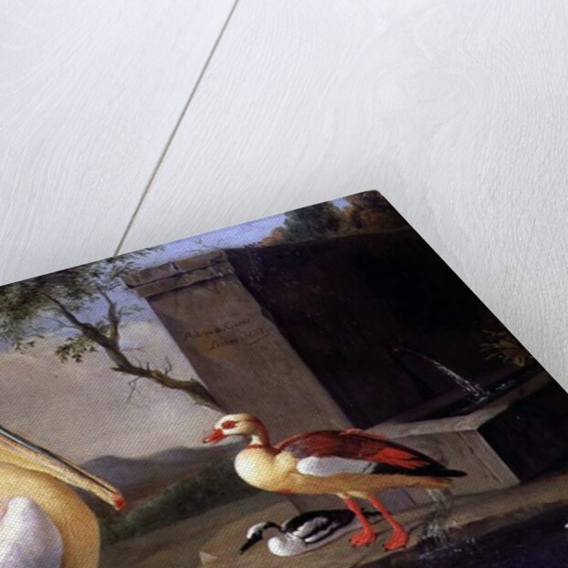 Oriental Birds by Adrian Coorte