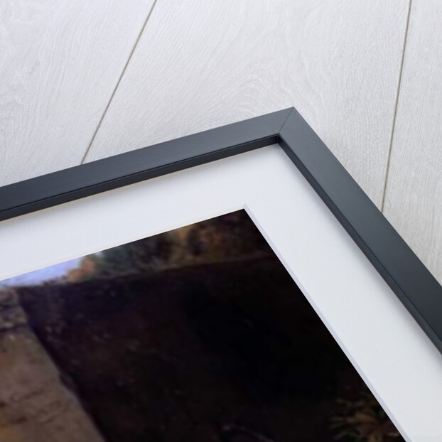 Oriental Birds by Adrian Coorte