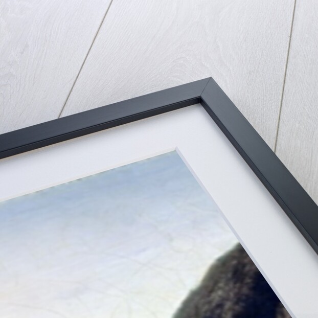 Lago di Piediluco, Umbria, 19th century by Jean Baptiste Camille Corot