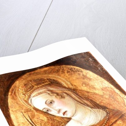 St. Catherine of Alexandria, 15th century by Vittorio Crivelli