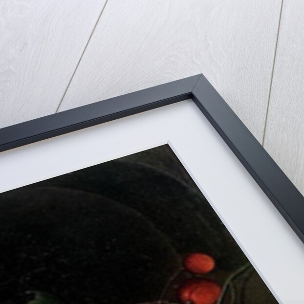 Still Life of Fruit, 17th century by David de II Heem