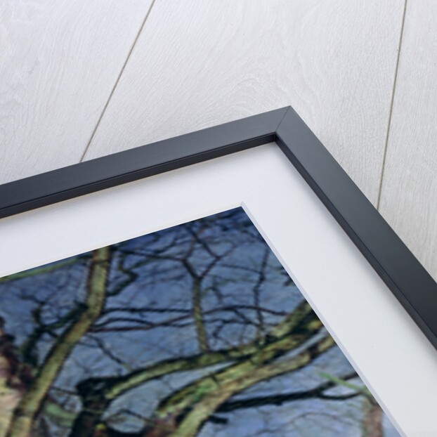 In Early Spring: A Study in March by John William Inchbold