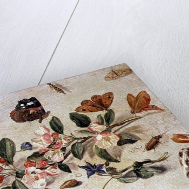 A Study of Flowers and Insects by Jan van the Elder Kessel