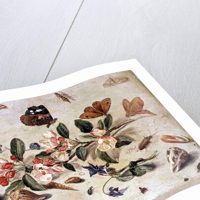 A Study of Flowers and Insects by Jan van the Elder Kessel