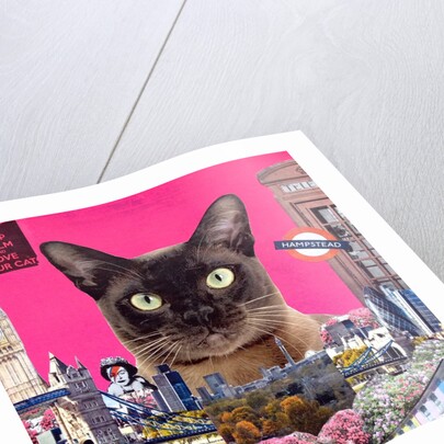 Urban cat, 2015 by Anne Storno