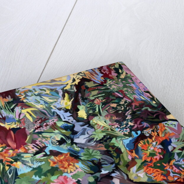 Gunnera, 2018 by rose lascelles