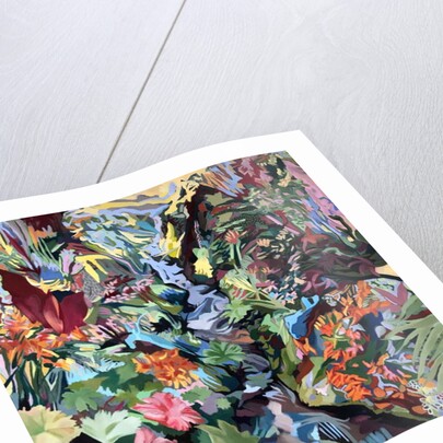 Gunnera, 2018 by rose lascelles