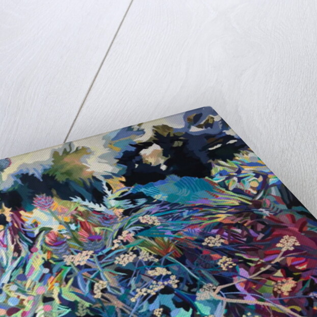 Cow Parsley by rose lascelles