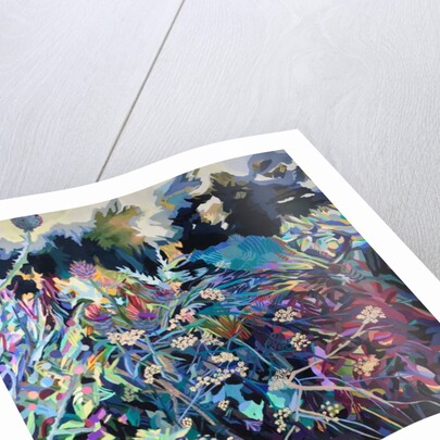 Cow Parsley by rose lascelles