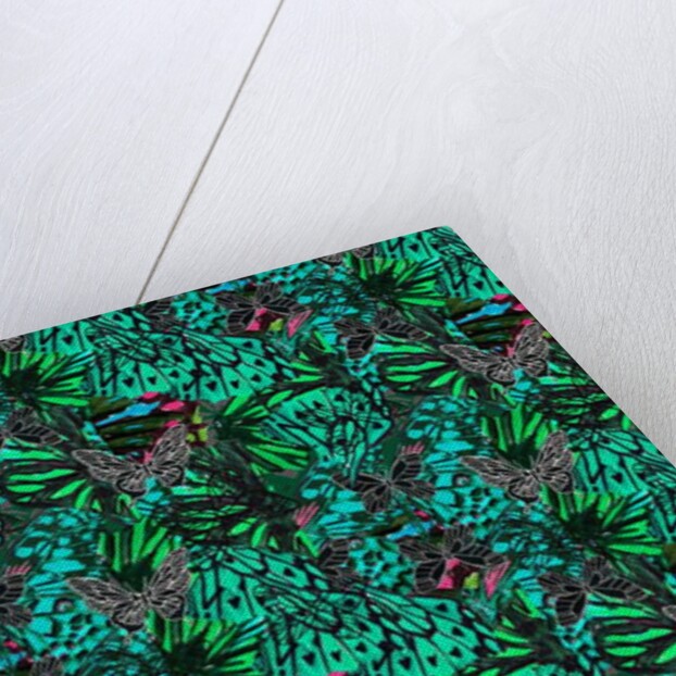 Papillon, 2018 by Tara Whitehead