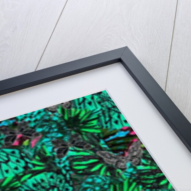 Papillon, 2018 by Tara Whitehead