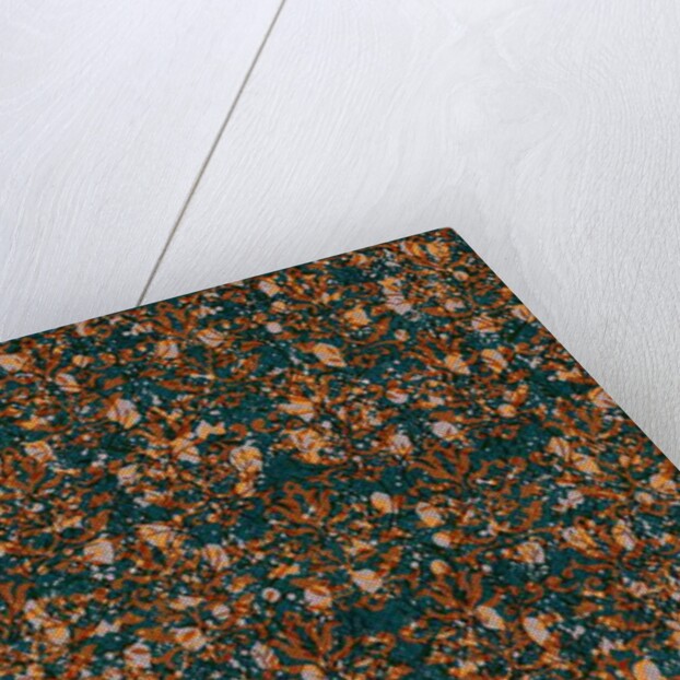 Palmy Oasis by Tara Whitehead