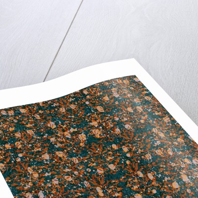 Palmy Oasis by Tara Whitehead