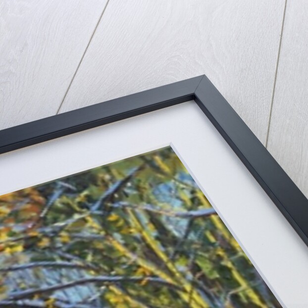 Snowballing, Allestree Park, Derby, 2014 by Andrew Macara