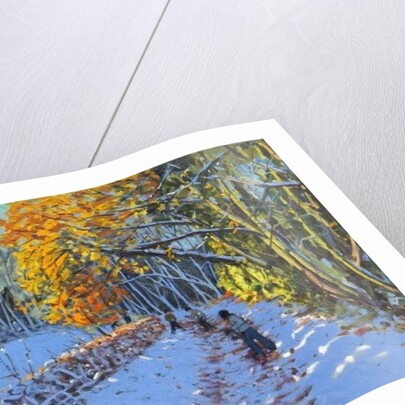 Snowballing, Allestree Park, Derby, 2014 by Andrew Macara