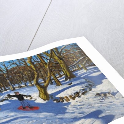 Red sledge, Lomberdale Hall, Derbyshire, 2014 by Andrew Macara