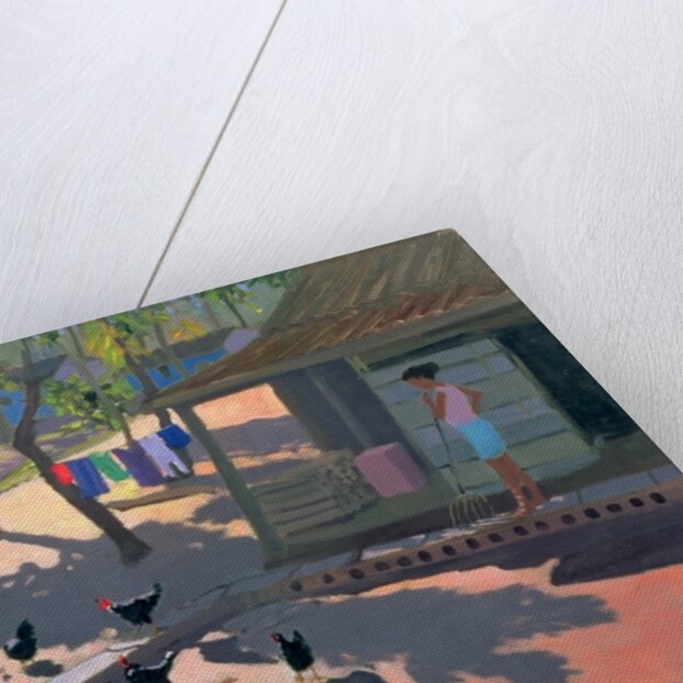 Hens and Chickens, Cuba, 1997 by Andrew Macara