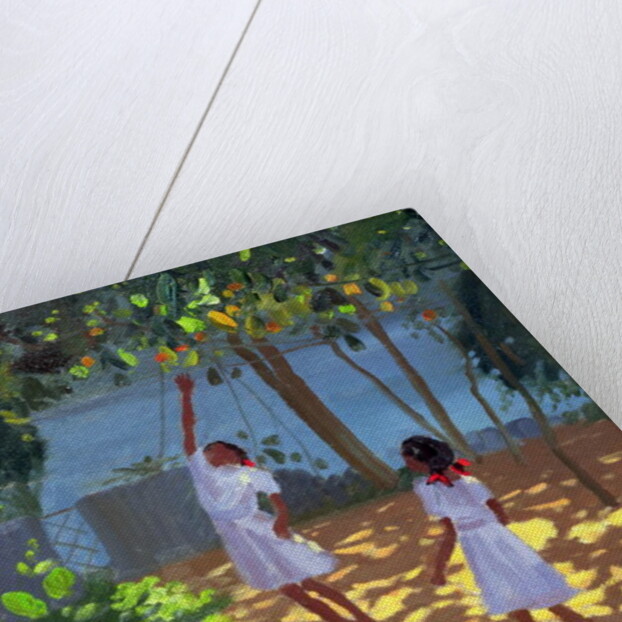 Reaching for Oranges, Bentota, Sri Lanka, 1998 by Andrew Macara