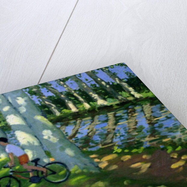 Canal du Midi, France by Andrew Macara