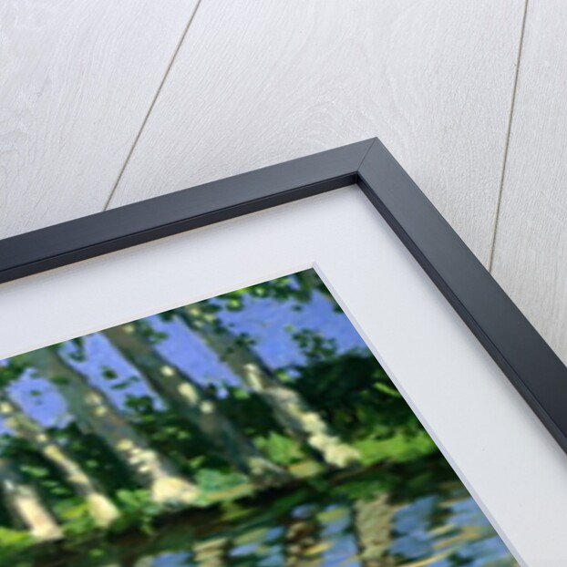 Canal du Midi, France by Andrew Macara