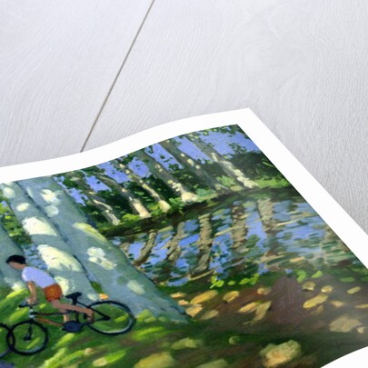 Canal du Midi, France by Andrew Macara