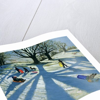 Winter Tree, Snow Sledgers, Calke Abbey, Derby by Andrew Macara