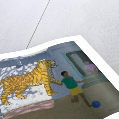 Tiger, India by Andrew Macara
