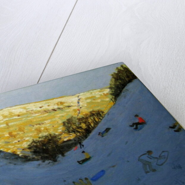 Valley and sunlit hillside, Lathkill Dale, Derbyshire by Andrew Macara