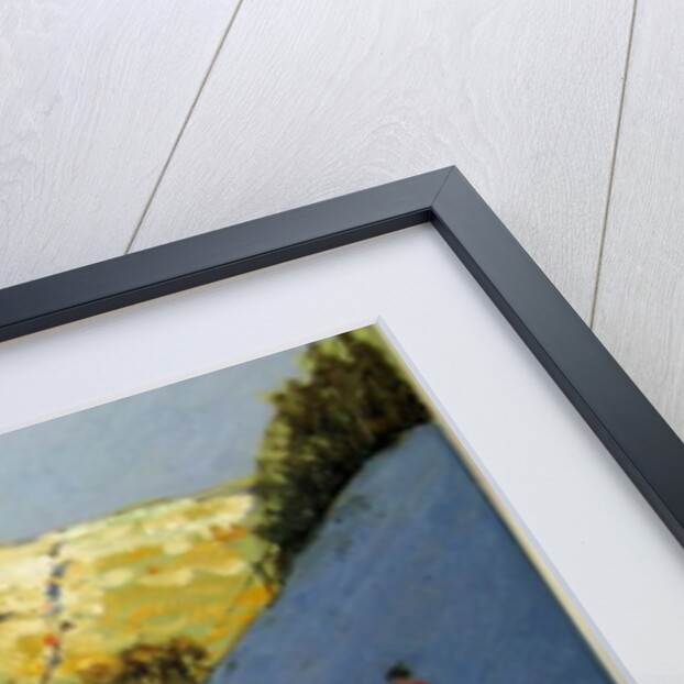 Valley and sunlit hillside, Lathkill Dale, Derbyshire by Andrew Macara