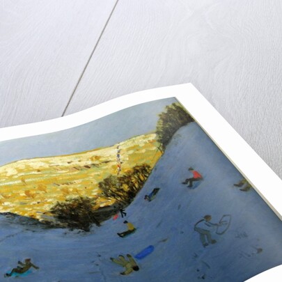 Valley and sunlit hillside, Lathkill Dale, Derbyshire by Andrew Macara