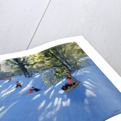 Early snow, Darley Park, Derby by Andrew Macara