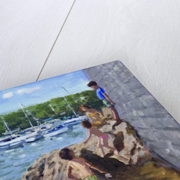 Climbing rocks, Tenby Harbour, 2016 by Andrew Macara