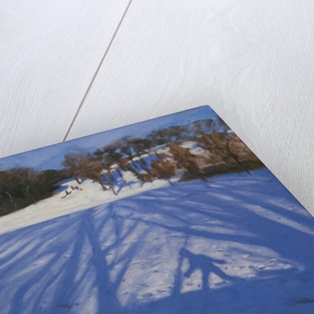 Shadow of Sledger, 2008 by Andrew Macara