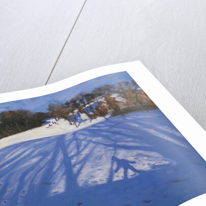 Shadow of Sledger, 2008 by Andrew Macara