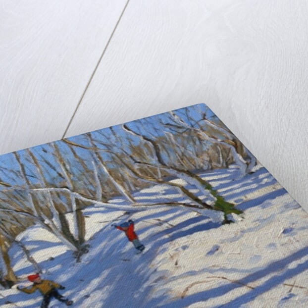 Spring Snow, Newhaven Derbyshire, 2008 by Andrew Macara