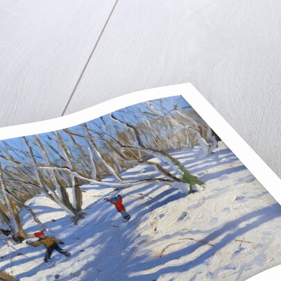 Spring Snow, Newhaven Derbyshire, 2008 by Andrew Macara