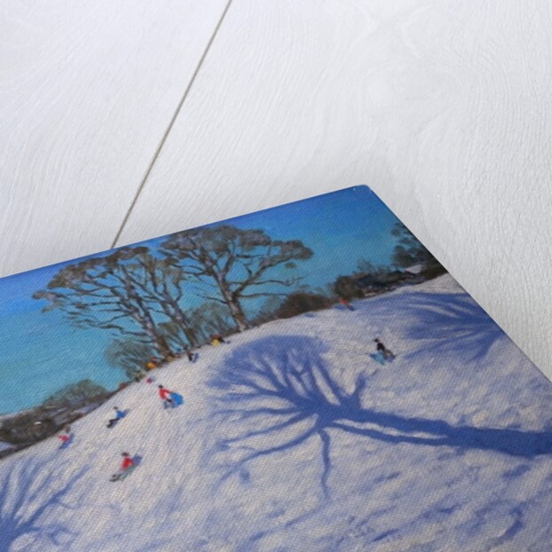 Two Tree shadows, Bolehill, Wirksworth, 2009 by Andrew Macara