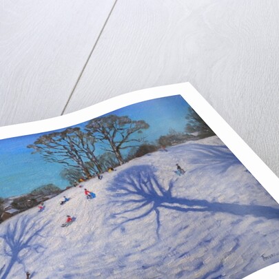 Two Tree shadows, Bolehill, Wirksworth, 2009 by Andrew Macara