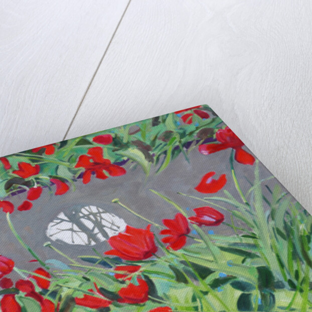 Tulips and reflection, 2017 by Andrew Macara