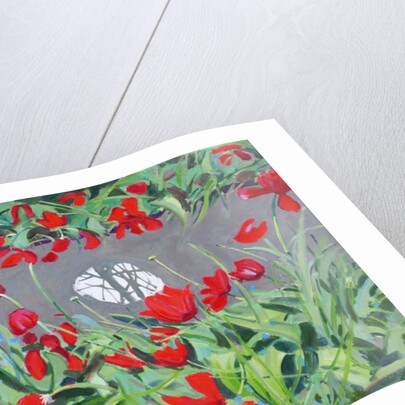 Tulips and reflection, 2017 by Andrew Macara