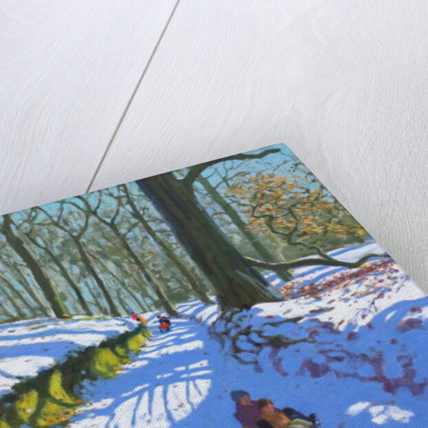 Sledging through the woods, Osmaston Park, Derby, 2018 by Andrew Macara