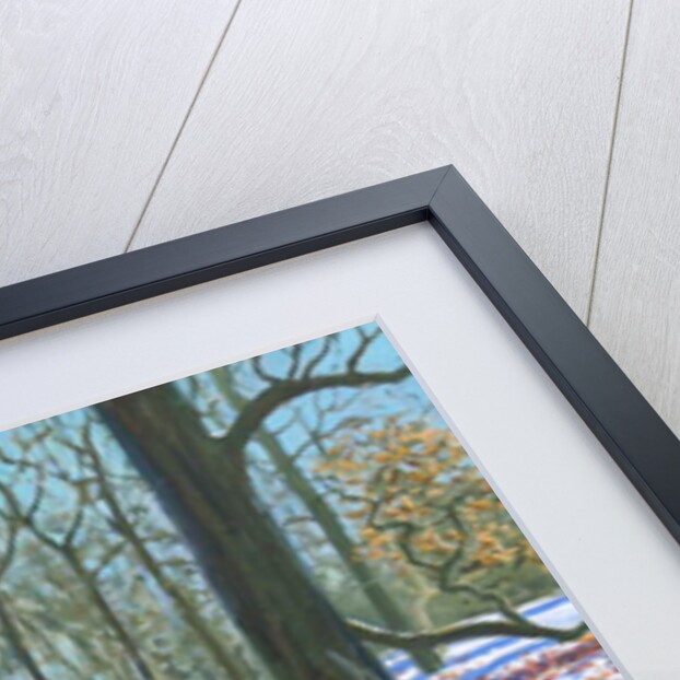 Sledging through the woods, Osmaston Park, Derby, 2018 by Andrew Macara