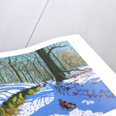 Sledging through the woods, Osmaston Park, Derby, 2018 by Andrew Macara