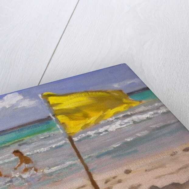 Yellow Flag, Barbados, 2010 by Andrew Macara