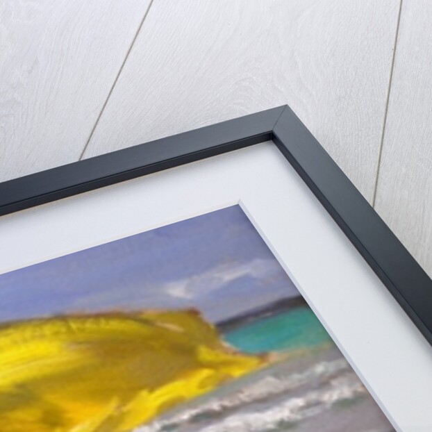 Yellow Flag, Barbados, 2010 by Andrew Macara