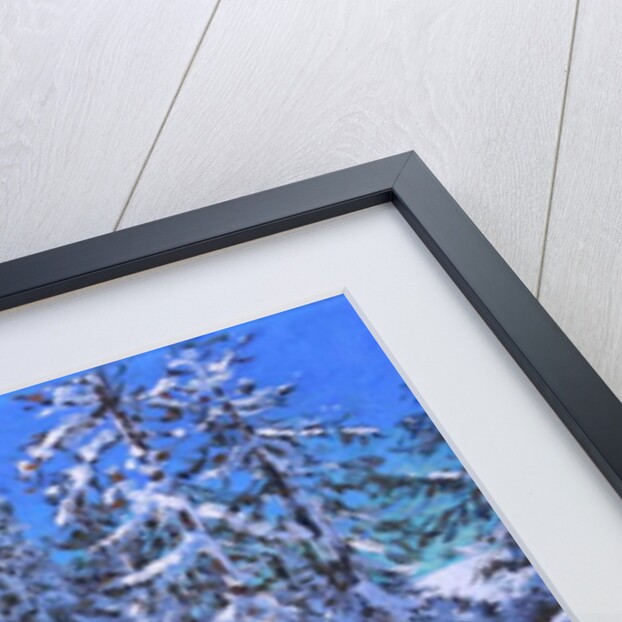 Steep slope, Les Arcs, France, 2018 by Andrew Macara