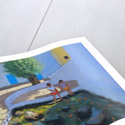 Fish pond, Milos, Greece, 2017 by Andrew Macara