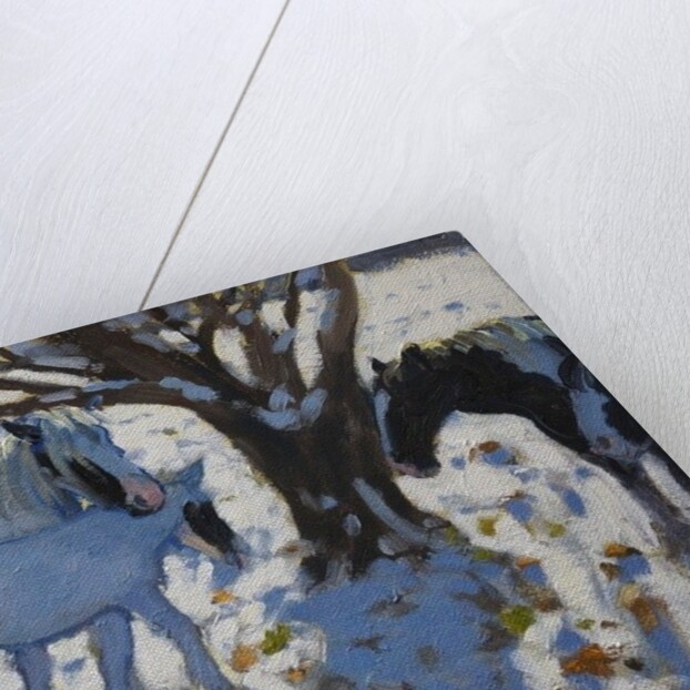 Skewbald Ponies in Winter, 2012 by Andrew Macara