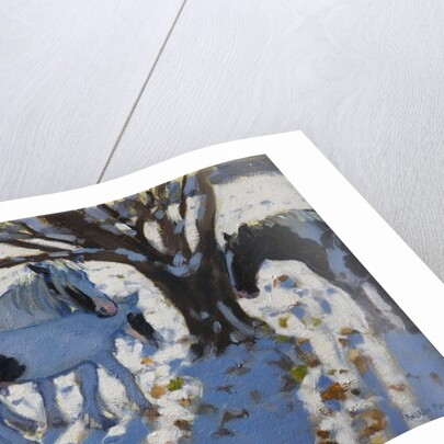 Skewbald Ponies in Winter, 2012 by Andrew Macara