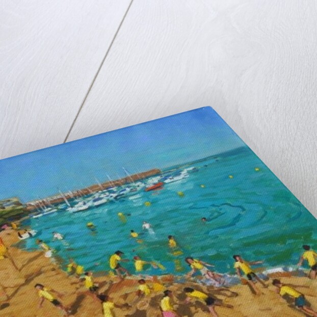 School outing, New Quay, Wales, 2013 by Andrew Macara